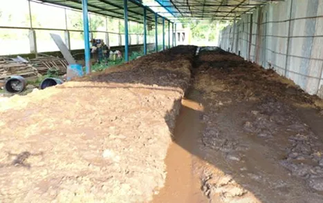 Bio and Organic fertilizer Unit